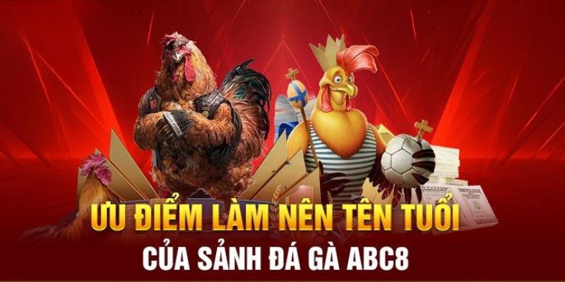 Lý giải sức hút đặc biệt của đá gà ABC8